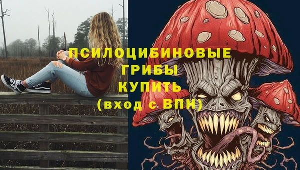 спиды Кондопога