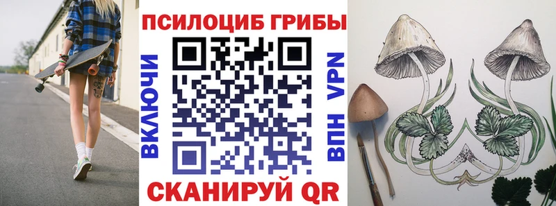 Купить где Рязань Галлюциногенные грибы GOLDEN TEACHER